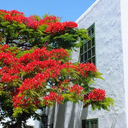 Casas Heddy, Well-being Szálloda Puerto del Carmen