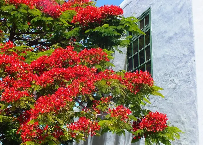 Casas Heddy, Well-being Hotel Puerto del Carmen (Lanzarote)